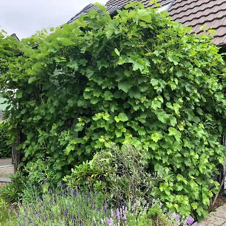 Bel Art Etage Mit Grossem Parkplatz Апартаменты *