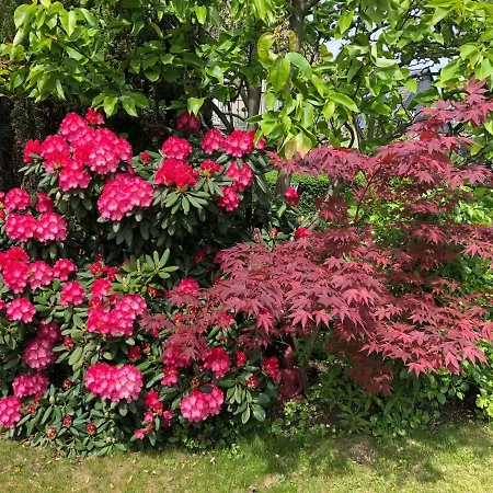 Bel Art Etage Mit Grossem Parkplatz Хан