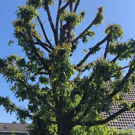 Διαμέρισμα Bel Art Etage Mit Grossem Parkplatz