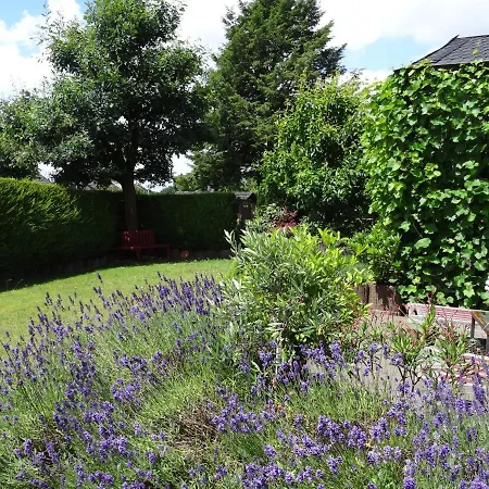 Bel Art Etage Mit Grossem Parkplatz