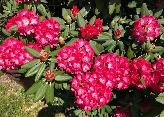 Bel Art Etage Mit Grossem Parkplatz Haan