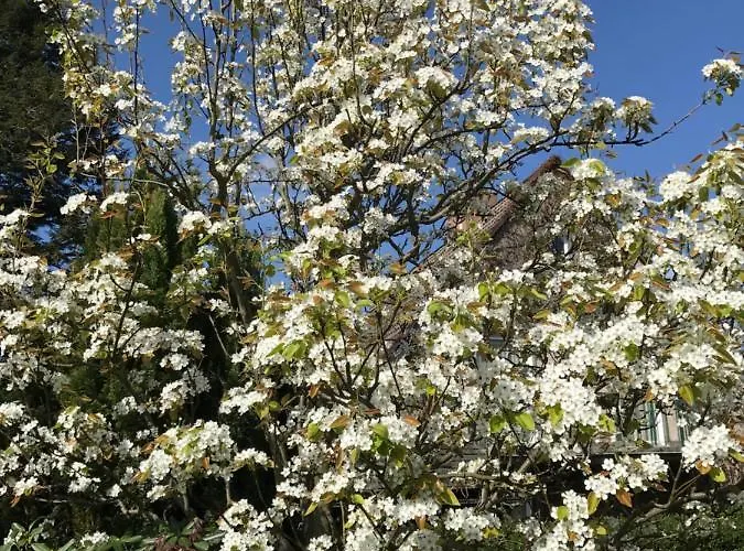 Bel Art Etage Mit Grossem Parkplatz Lejlighed *