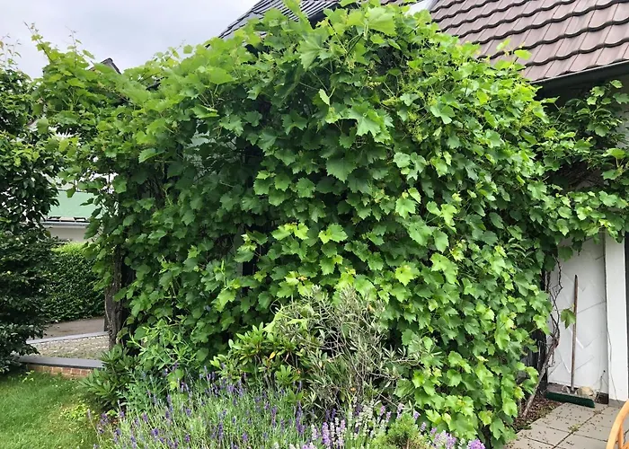 Bel Art Etage Mit Grossem Parkplatz Lejlighed *