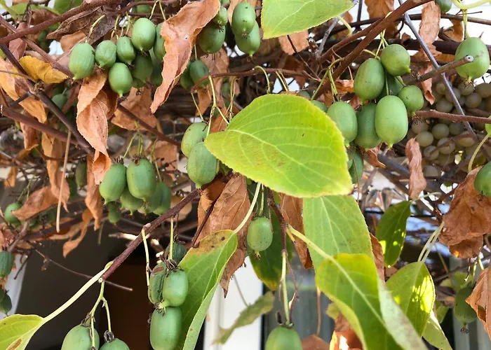 Bel Art Etage Mit Grossem Parkplatz Haan