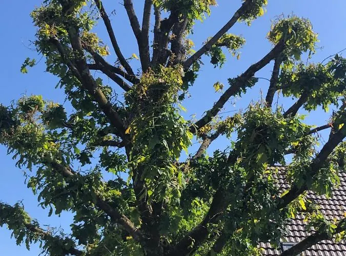 Lejlighed Bel Art Etage Mit Grossem Parkplatz